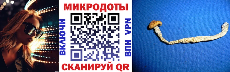 Галлюциногенные грибы мицелий  сколько стоит  ОМГ ОМГ ССЫЛКА  Ханты-Мансийск 